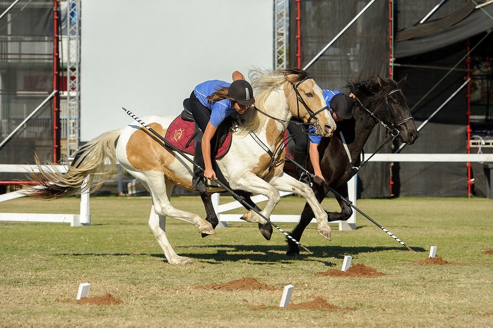 Tent Pegging